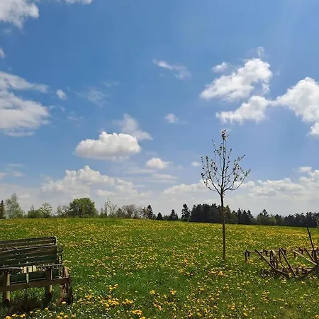 Am Waldrand Auf Dem Schellenberg *