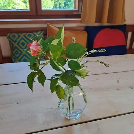 Am Waldrand Auf Dem Schellenberg * Simbach am Inn