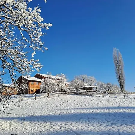 Am Waldrand Auf Dem Schellenberg Apartment