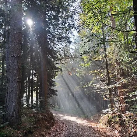 Am Waldrand Auf Dem Schellenberg Apartment Simbach am Inn