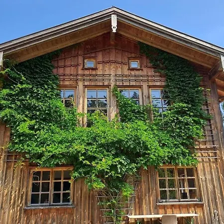 Am Waldrand Auf Dem Schellenberg