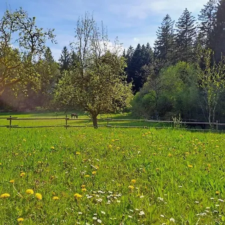 Am Waldrand Auf Dem Schellenberg * Simbach am Inn