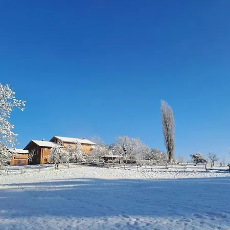 Am Waldrand Auf Dem Schellenberg *