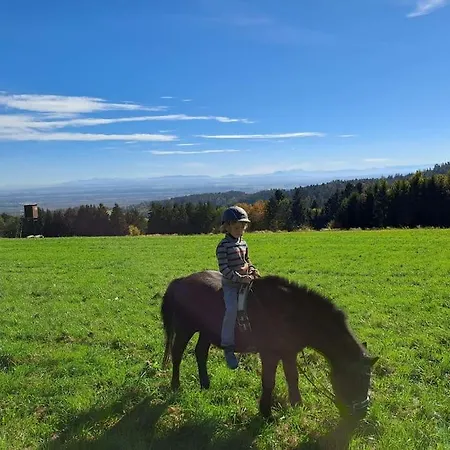 Am Waldrand Auf Dem Schellenberg Simbach am Inn