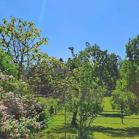 Apartamento Am Waldrand Auf Dem Schellenberg Simbach am Inn