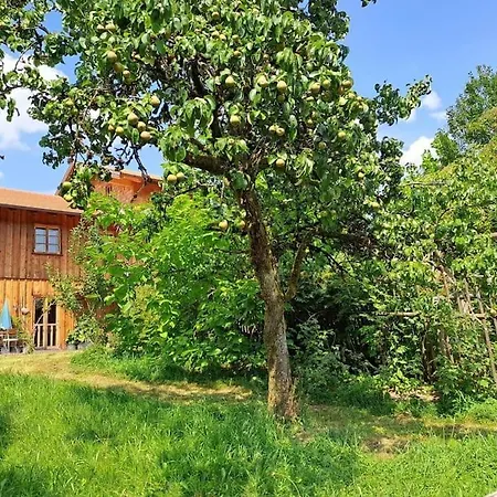 Am Waldrand Auf Dem Schellenberg * Simbach am Inn